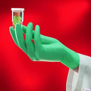 Einweghandschuh NEOTOUCH Handschuhe 25-201 neopren puderfrei / Box mit 100 Stück